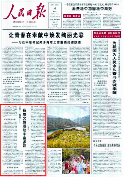 逃离魔法之森