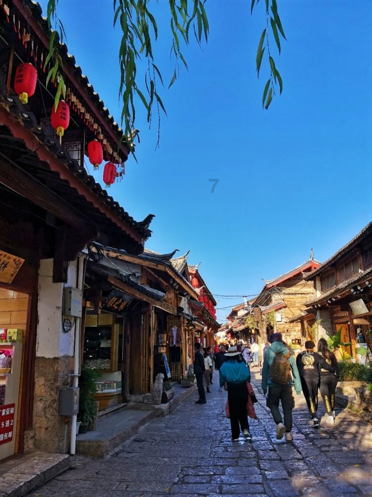 饲养的宠物重病时，你愿意花很多钱救治吗？游戏画面
