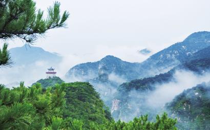 亲戚说你辛苦了高情商怎么回答？游戏画面