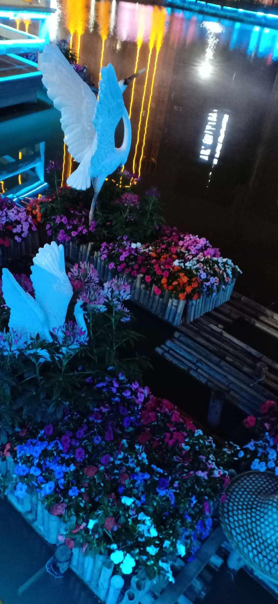 逗小猴开心系列196